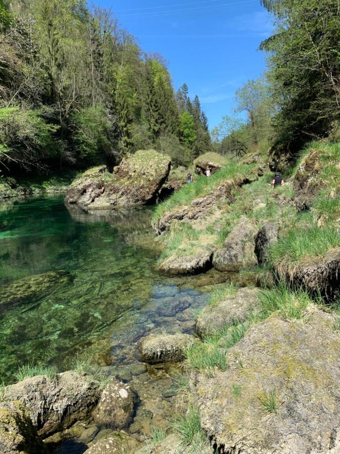 Ferienhaeuschen Am Traunsee Mit Tretboot Zur Freien Nutzung Am Badeplatz Altmünster Εξωτερικό φωτογραφία