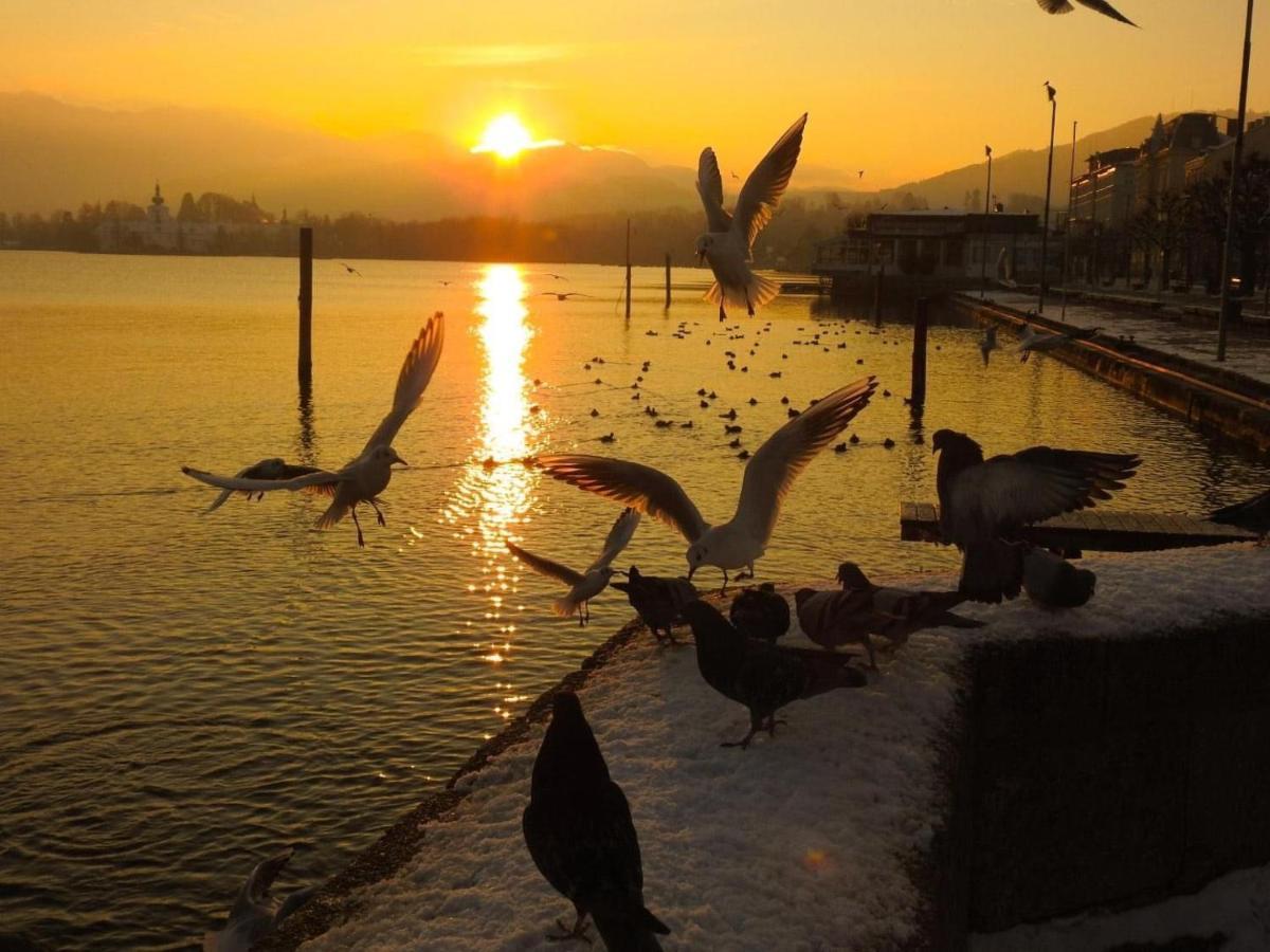 Ferienhaeuschen Am Traunsee Mit Tretboot Zur Freien Nutzung Am Badeplatz Altmünster Εξωτερικό φωτογραφία